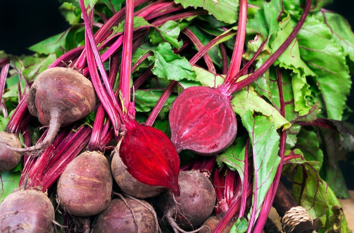 Bilder für Download – 3